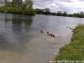 2010-07-06 01